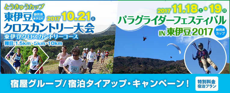 とうきゅうカップ 東伊豆クロスカントリー大会 2017・パラグライダーフェスティバルin東伊豆2017