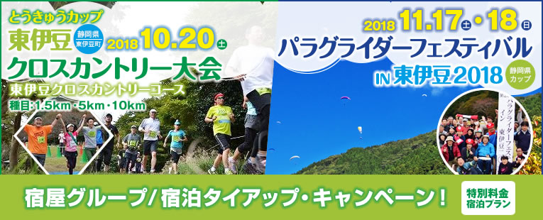 とうきゅうカップ 東伊豆クロスカントリー大会 2017・パラグライダーフェスティバルin東伊豆2017